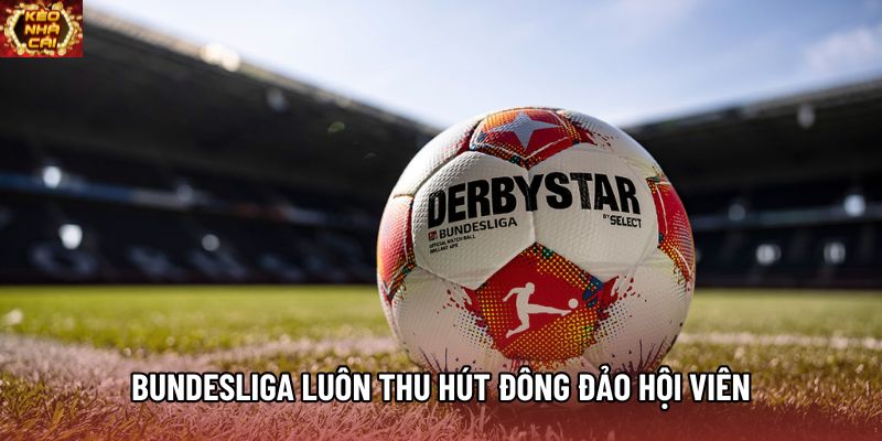 Bundesliga luôn thu hút đông đảo hội viên Bundesliga luôn thu hút đông đảo hội viên