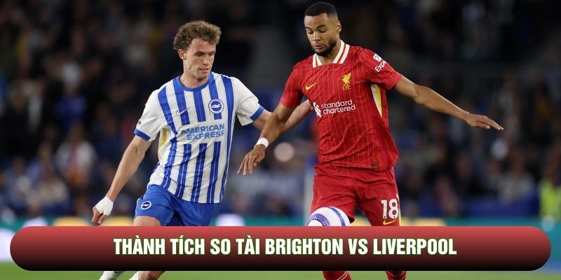 Thành tích so tài Brighton vs Liverpool Thành tích so tài Brighton vs Liverpool